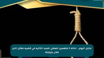 عاجل اليوم.. إحالة 3 متهمين للمفتى للمرة الثانية في قضية مقتل تاجر غلال وزوجته